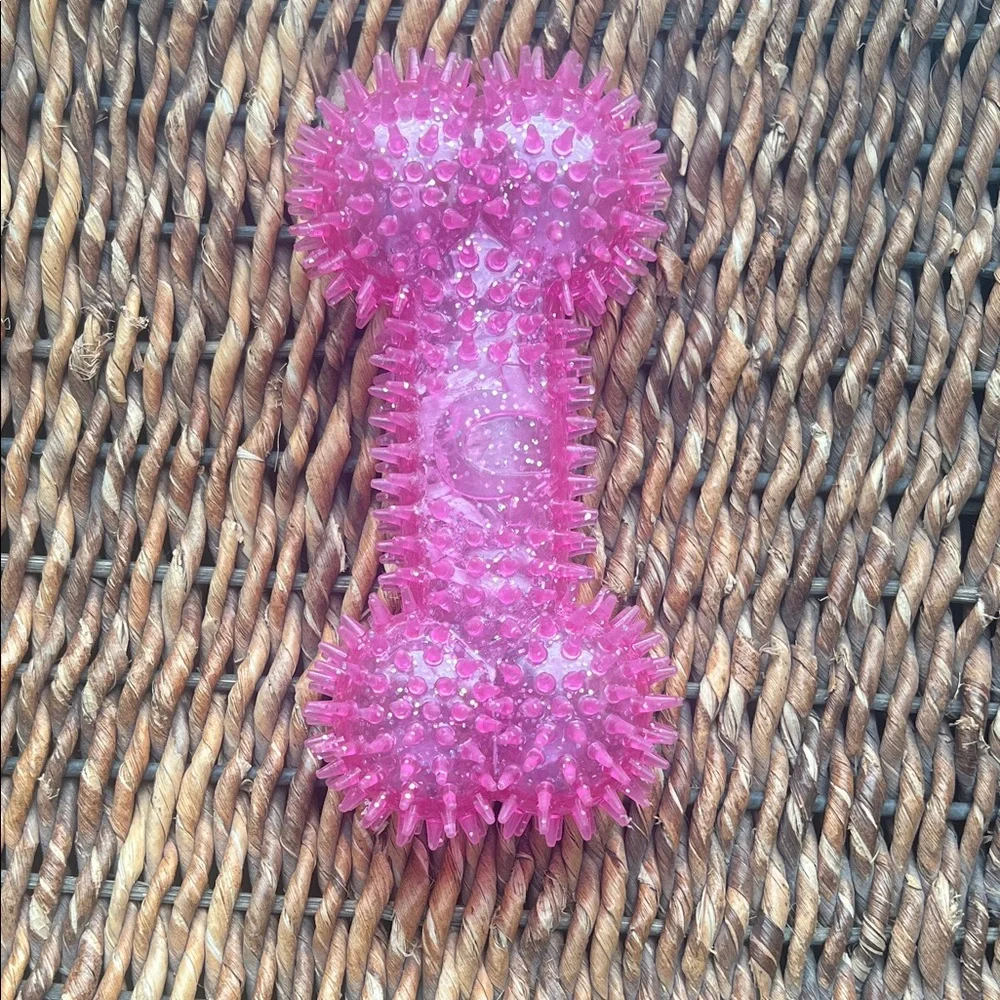 Spiky Pink Dog Bone Toy